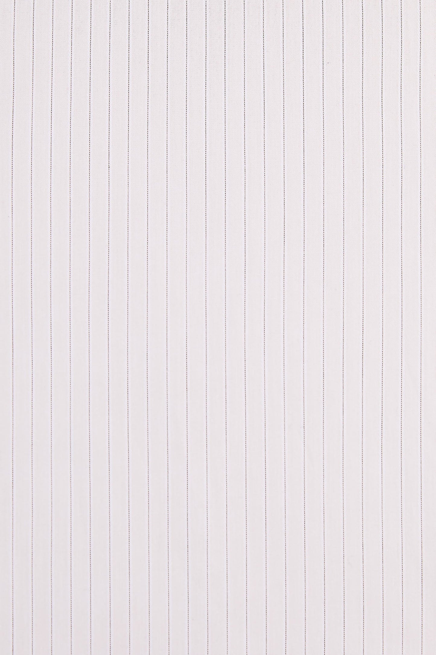 The Taavi Pant | Alabaster Pinstripe