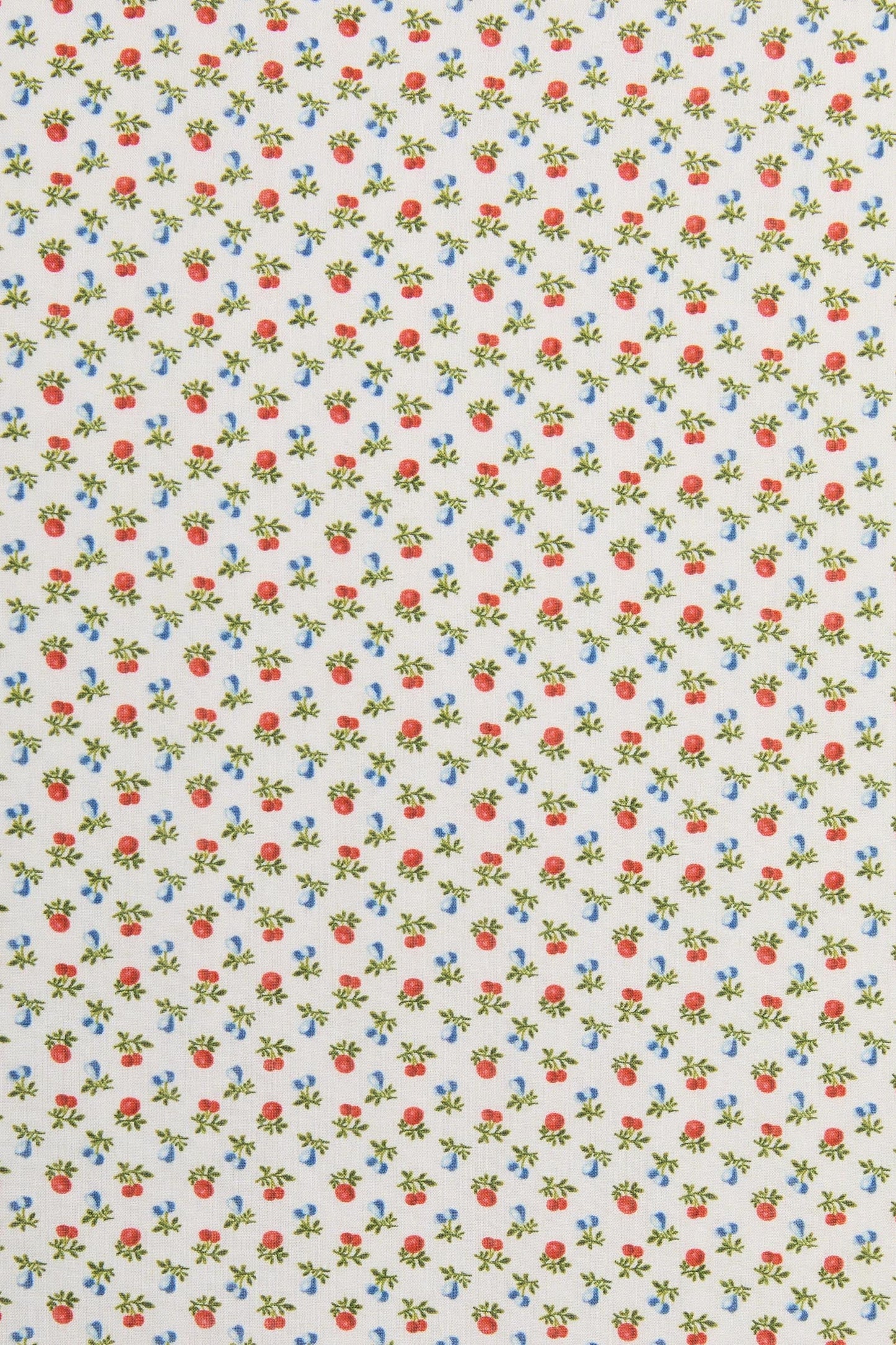 The Cristobal Boxers | Summer Orchard