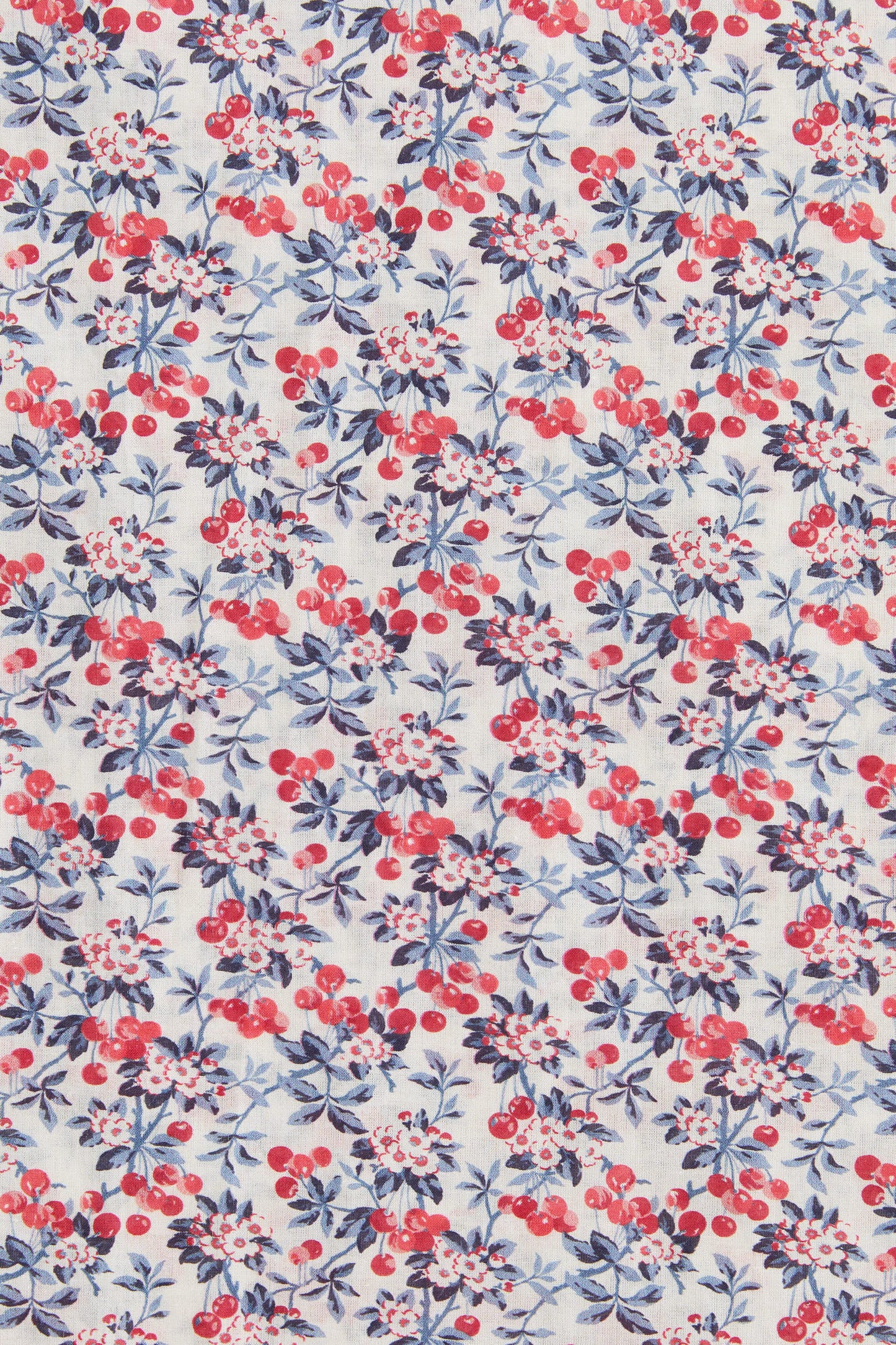 The Dawn Dress Petites | Cherry Jubilee