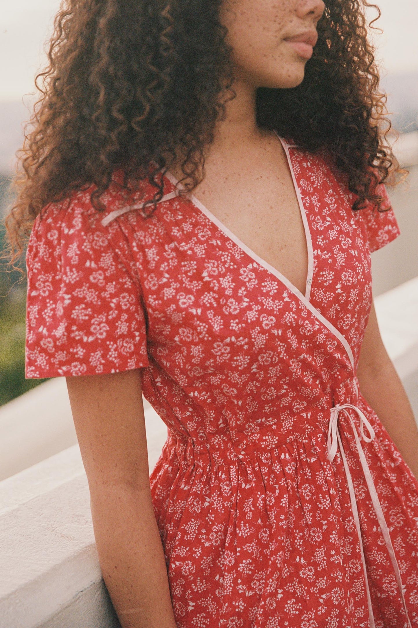 The Dawn Dress Petites | Robin Blossom