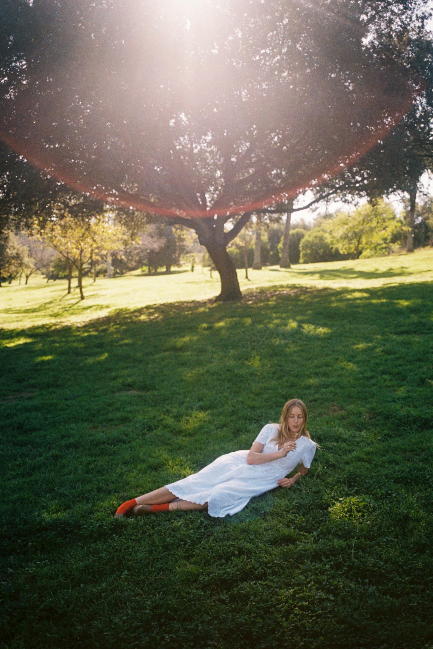 The Dawn Dress Petites | Alabaster