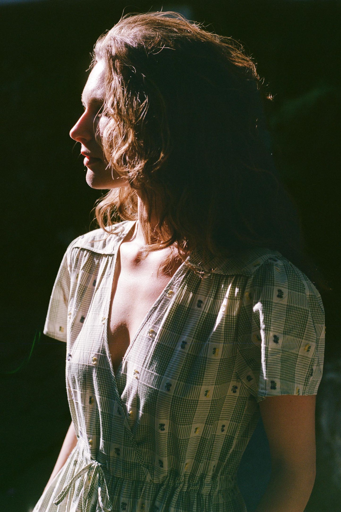 The Dawn Dress | Linden Picnic Floral