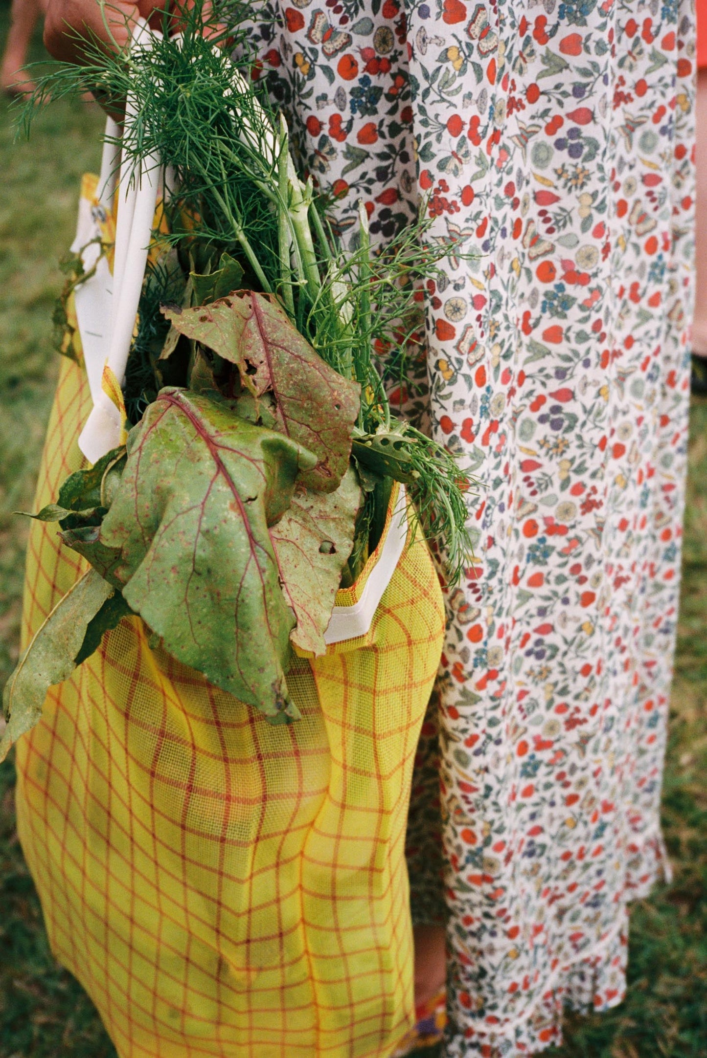 The Natasha Dress | Summer Bounty