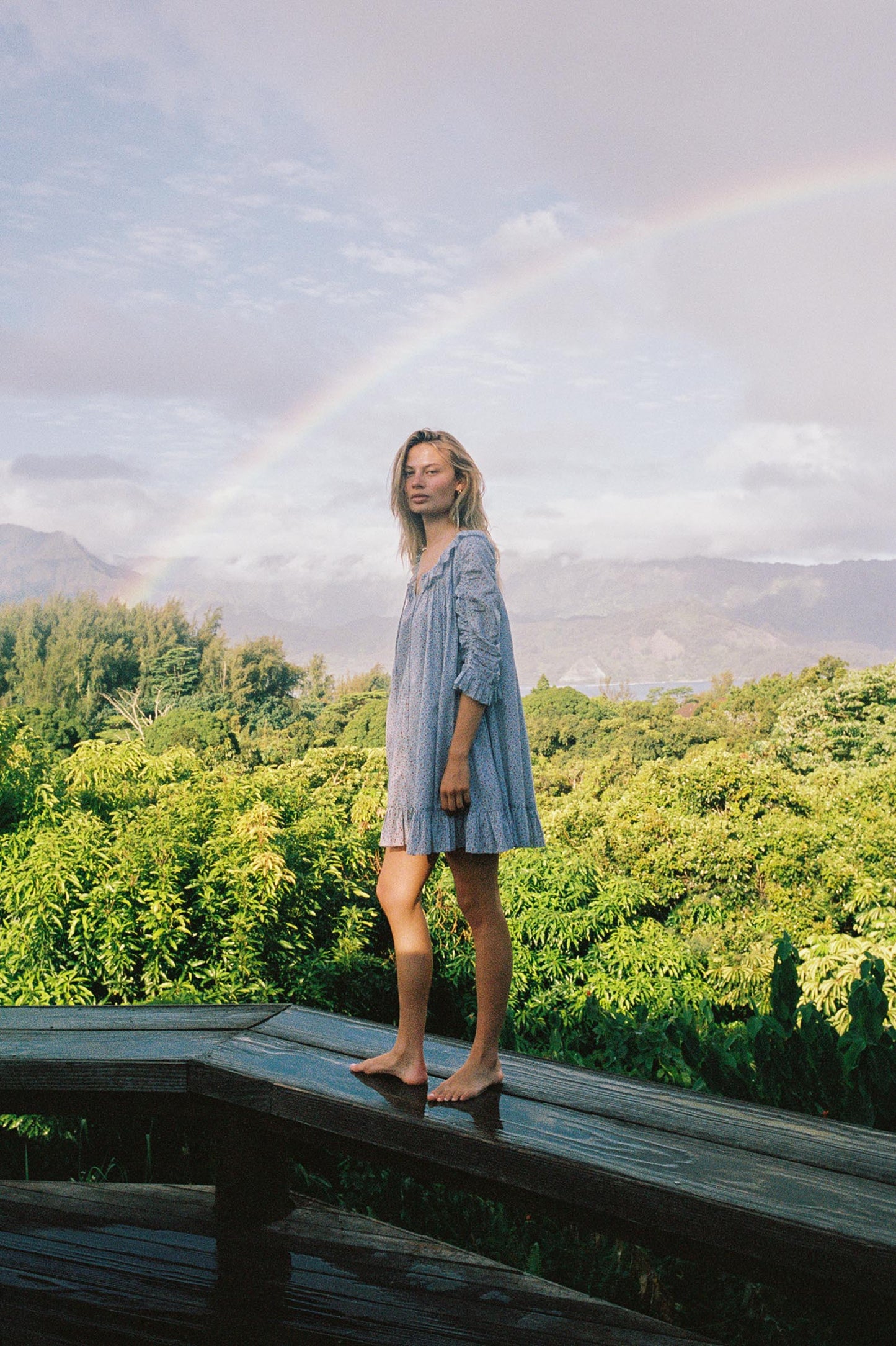 The Vaanya Dress | Wild Berries