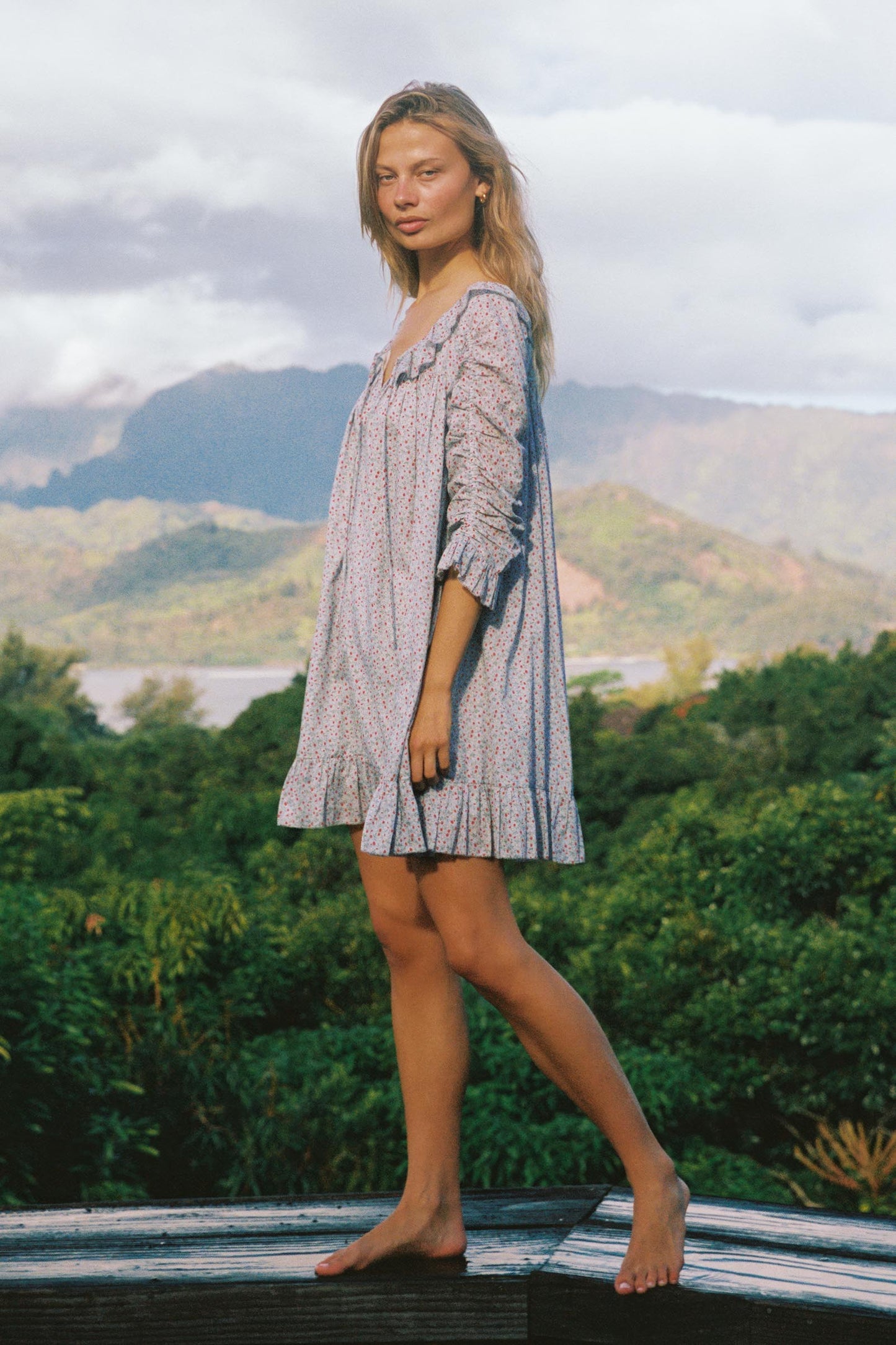 The Vaanya Dress | Wild Berries