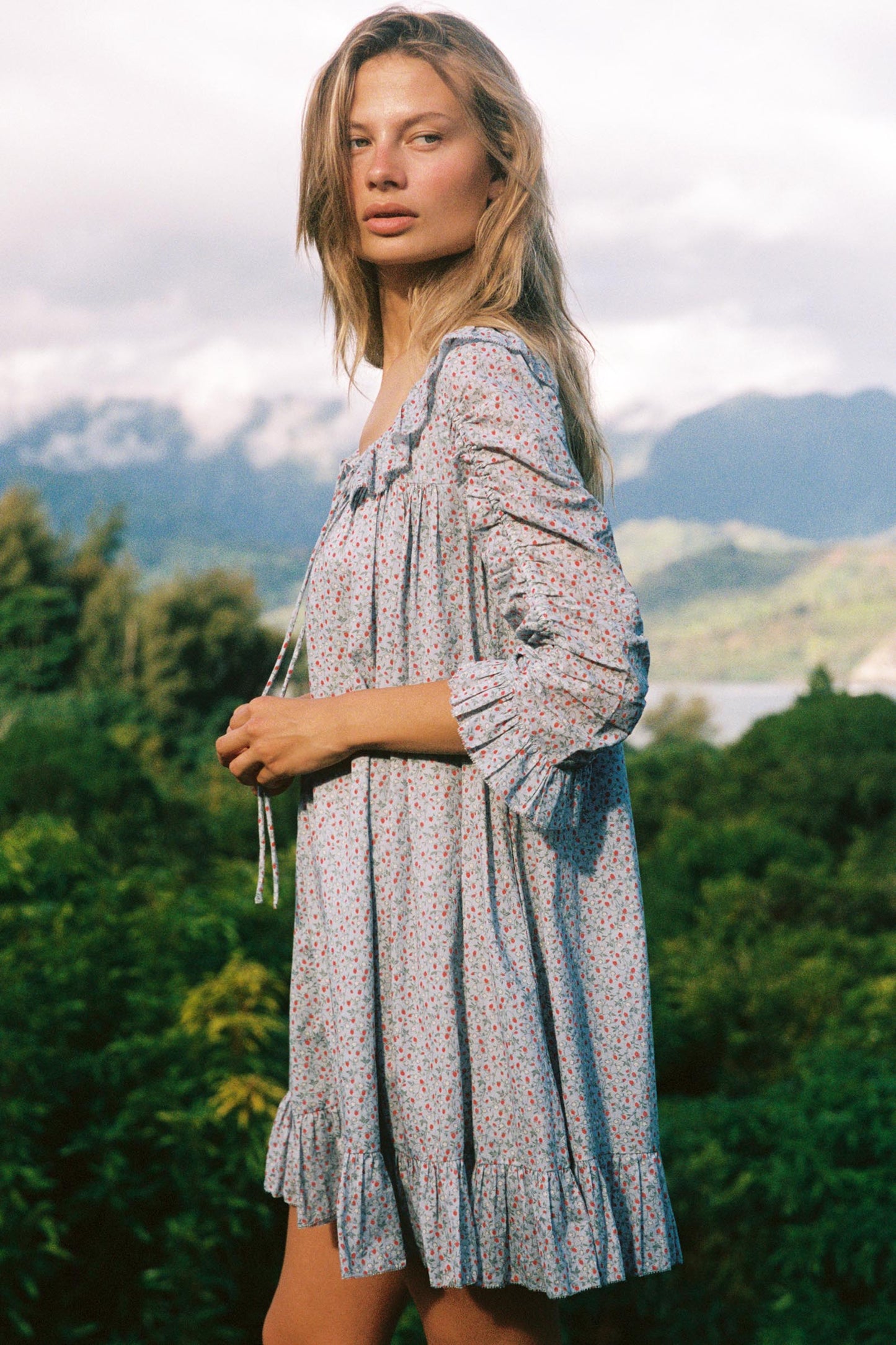 The Vaanya Dress | Wild Berries