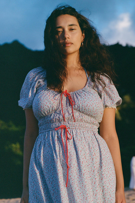 The Brynne Dress |  Wild Berries