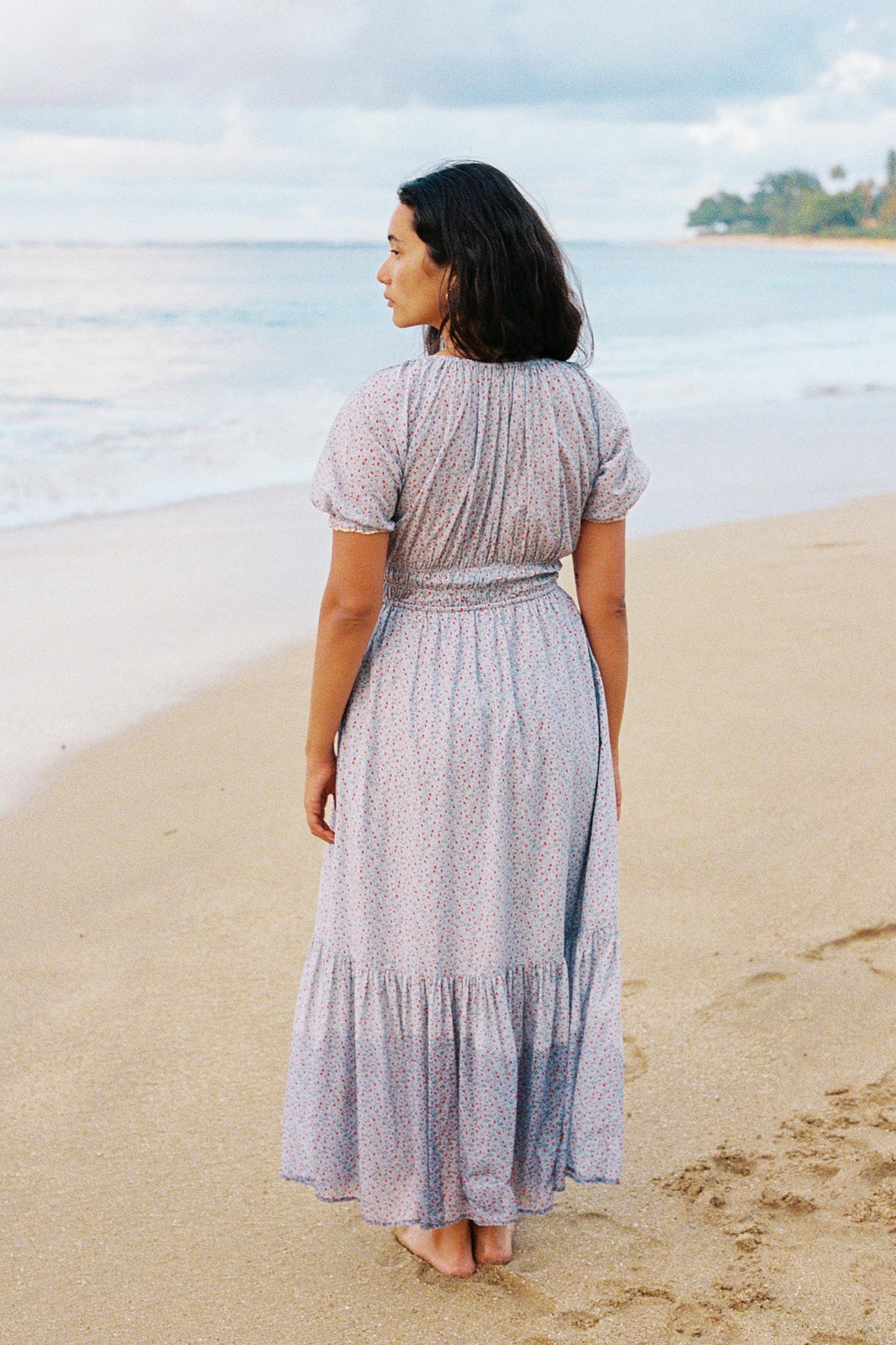 The Brynne Dress |  Wild Berries