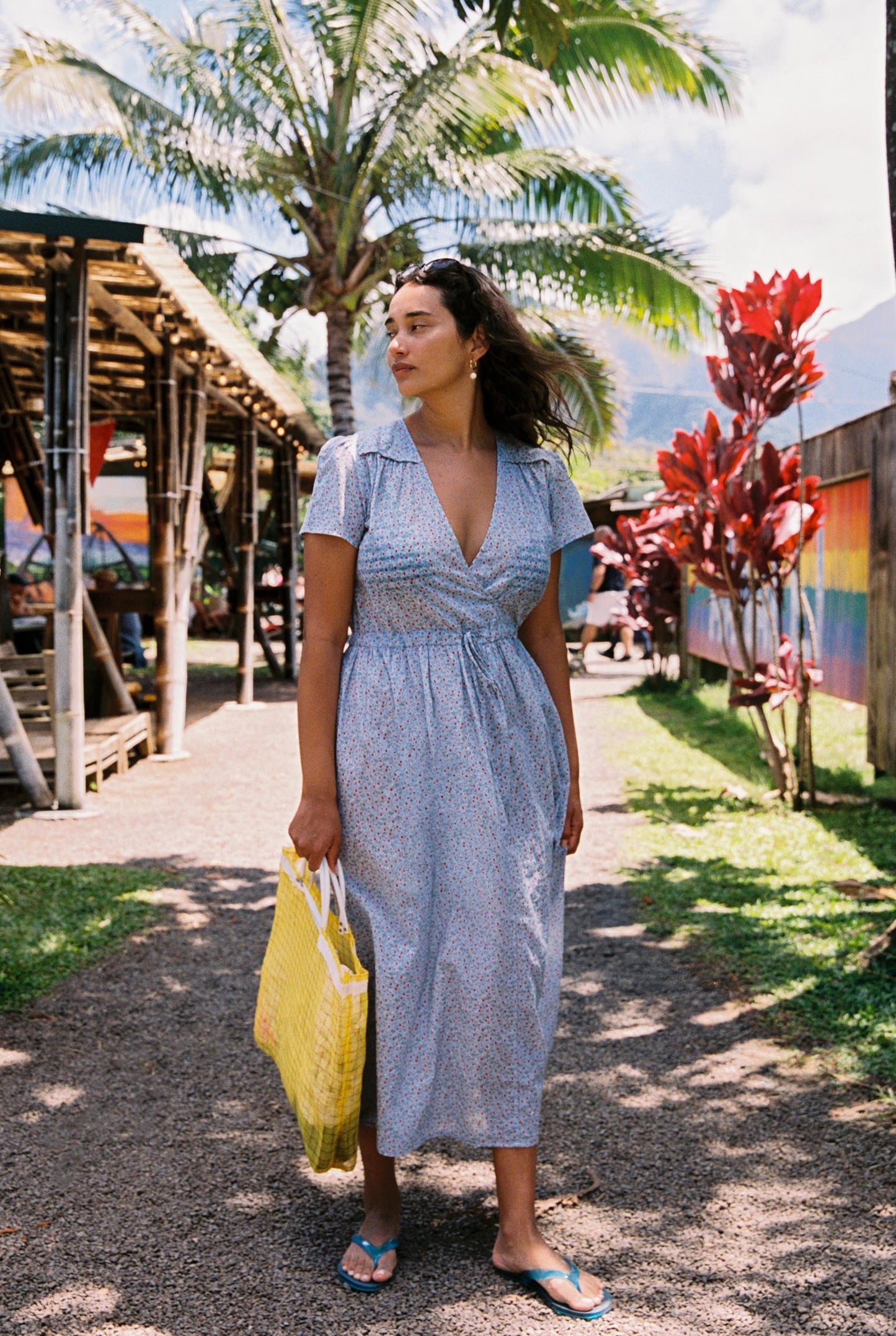 The Dawn Dress Petites | Wild Berries