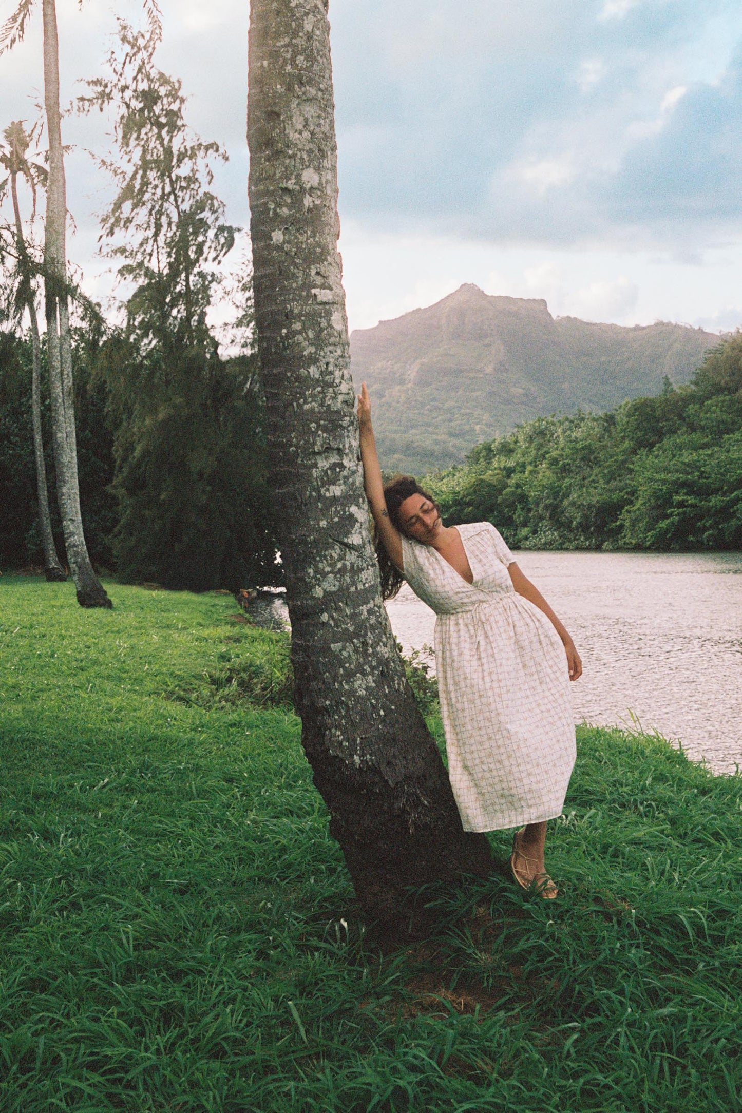 The Dawn Dress Petites | Rose Trellis