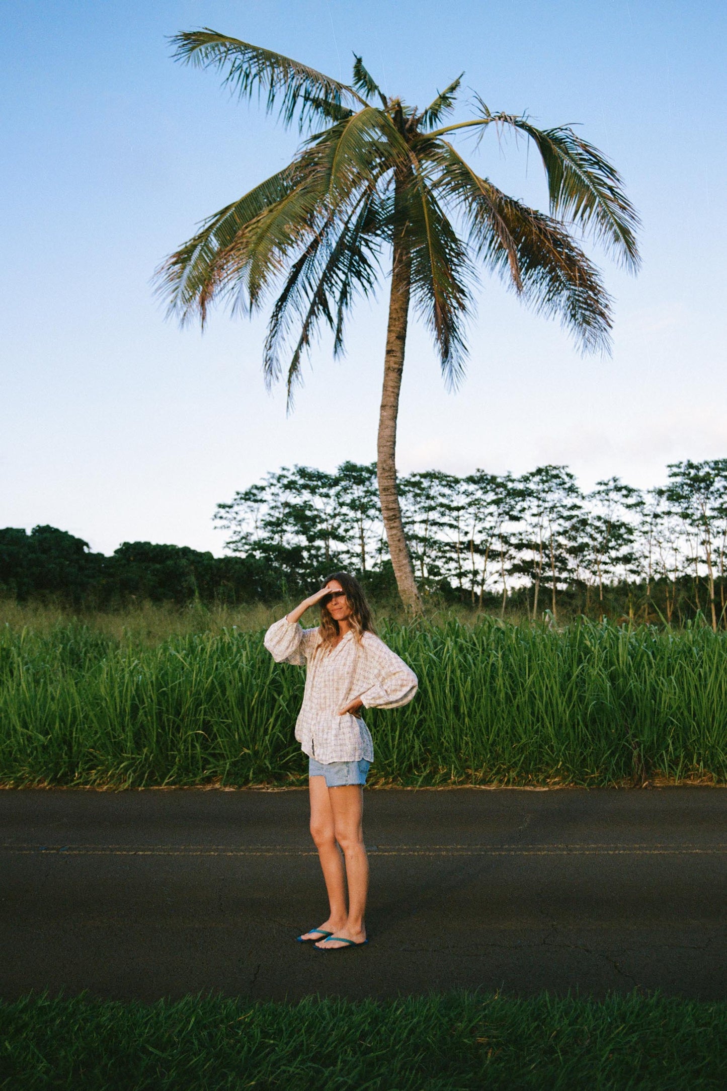 The Carol Blouse | Rose Trellis