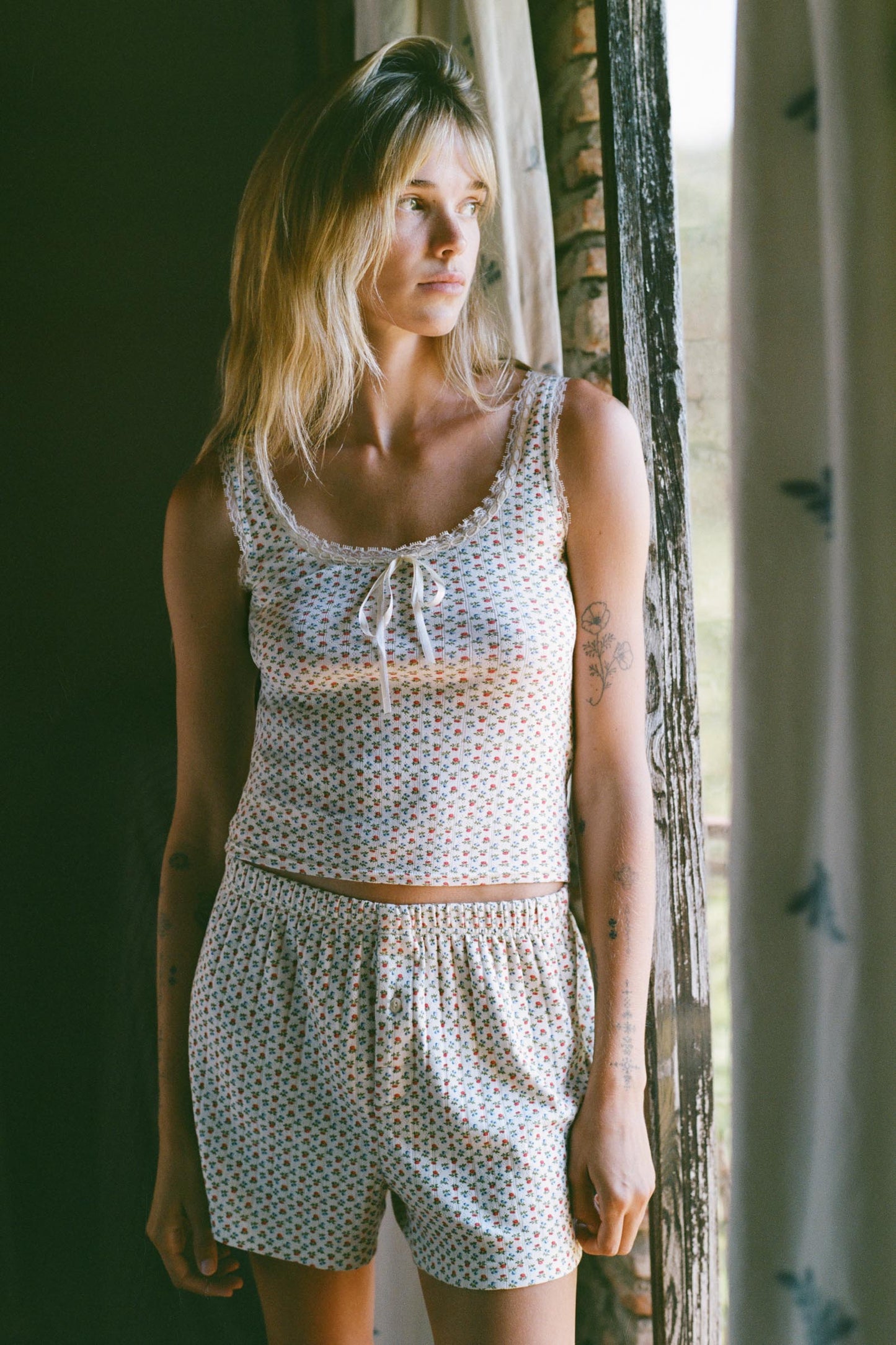 The Cristobal Boxers | Summer Orchard