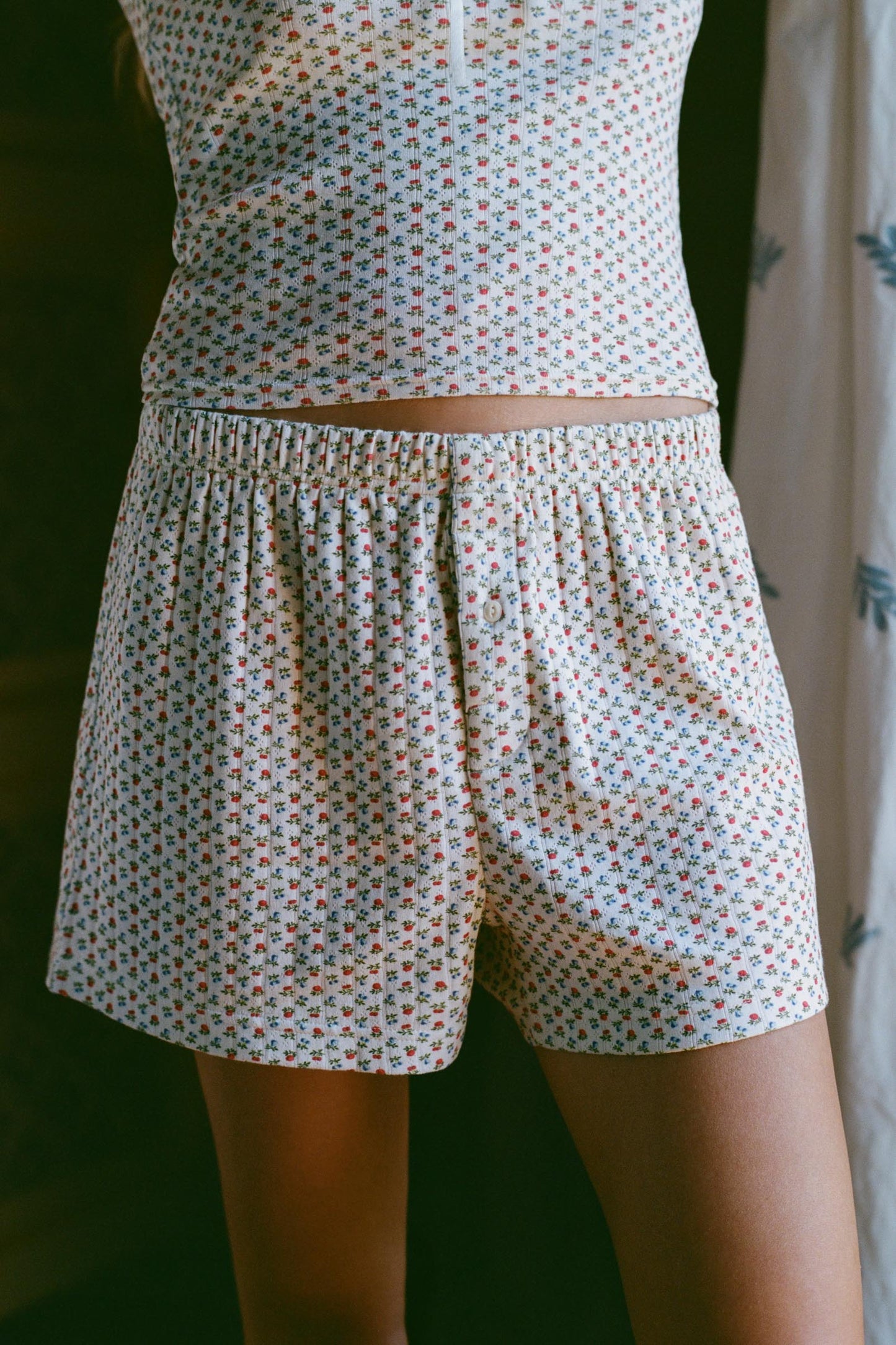 The Cristobal Boxers | Summer Orchard
