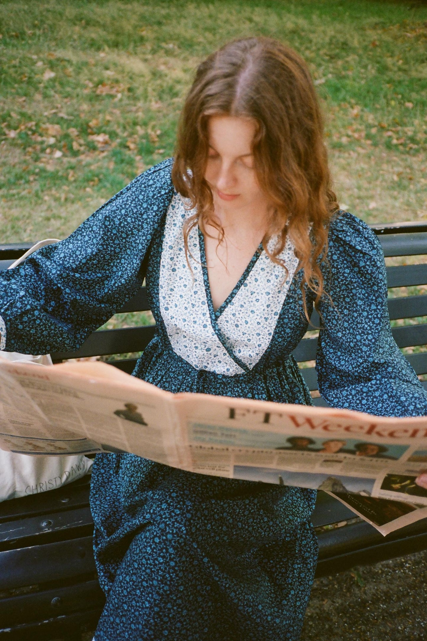 The Azure Dress | Chrysanthemum Vine