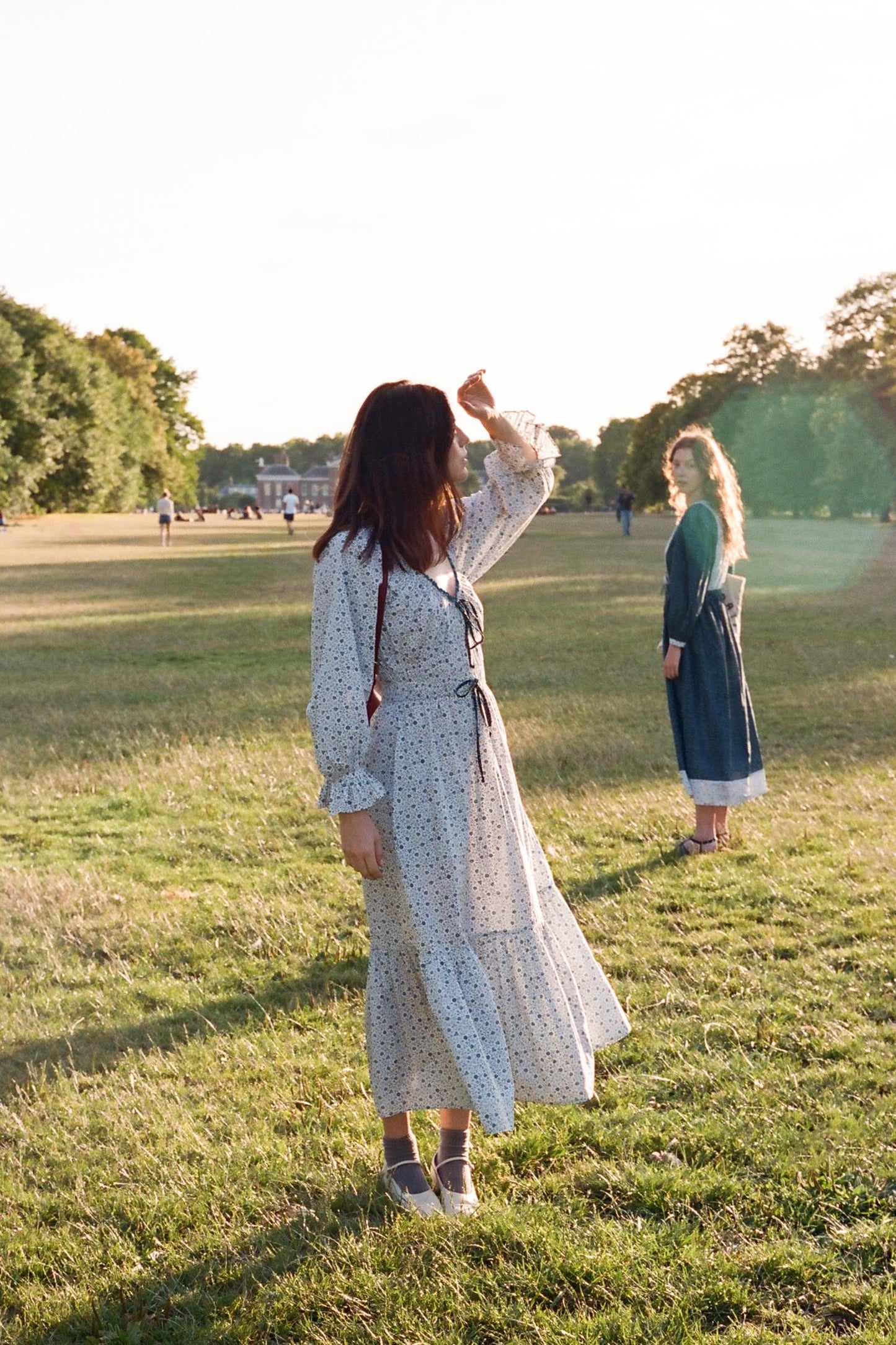 The Raquel Dress Petites | Chrysanthemum Vine