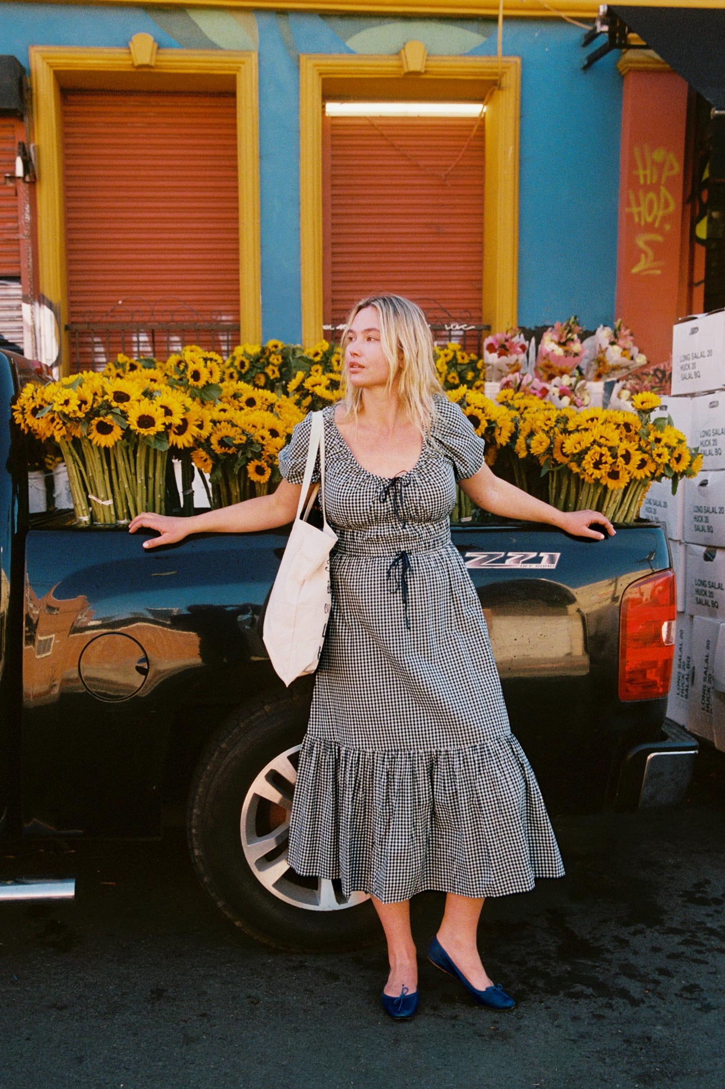 The Brynne Dress | Midnight Picnic