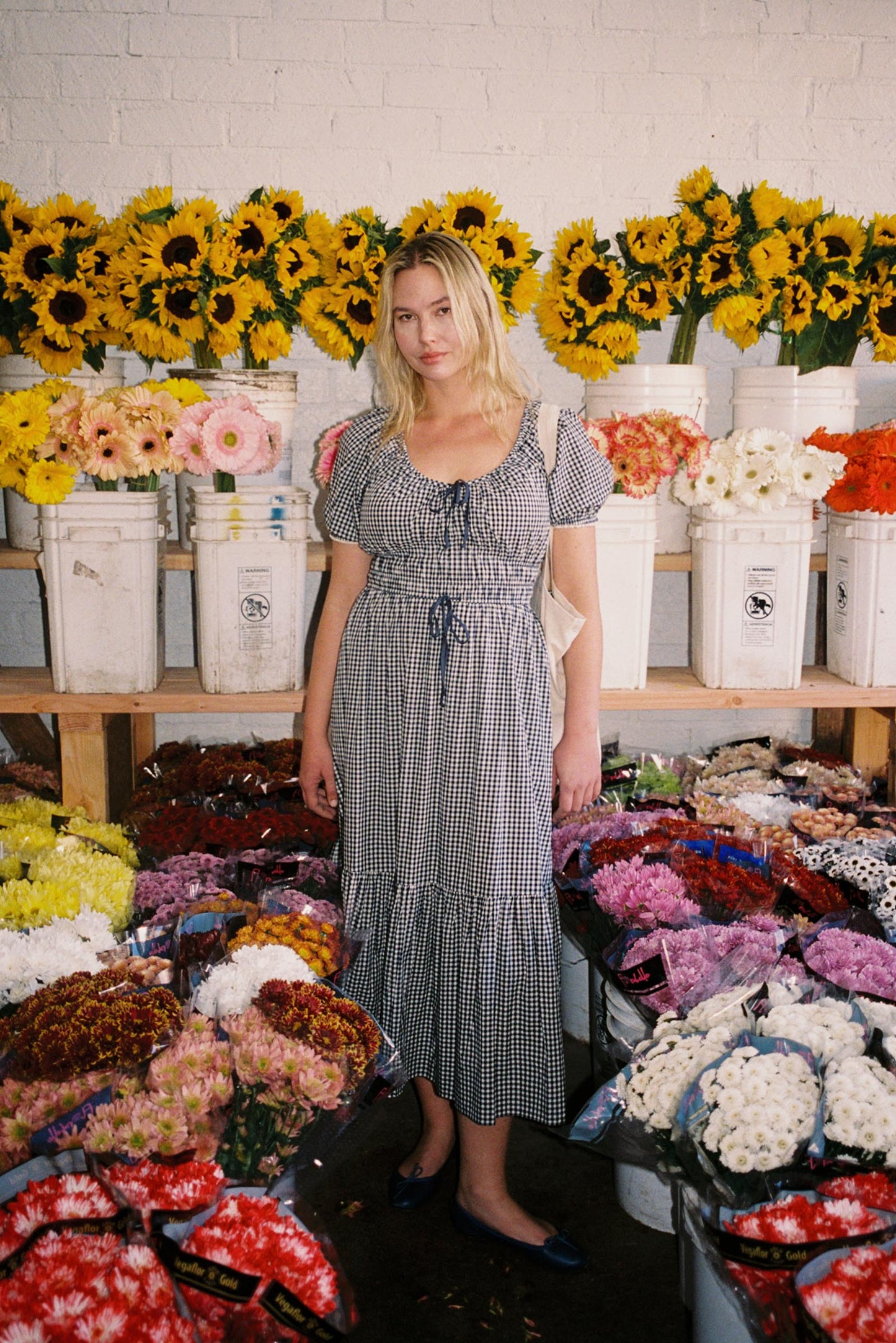 The Brynne Dress | Midnight Picnic