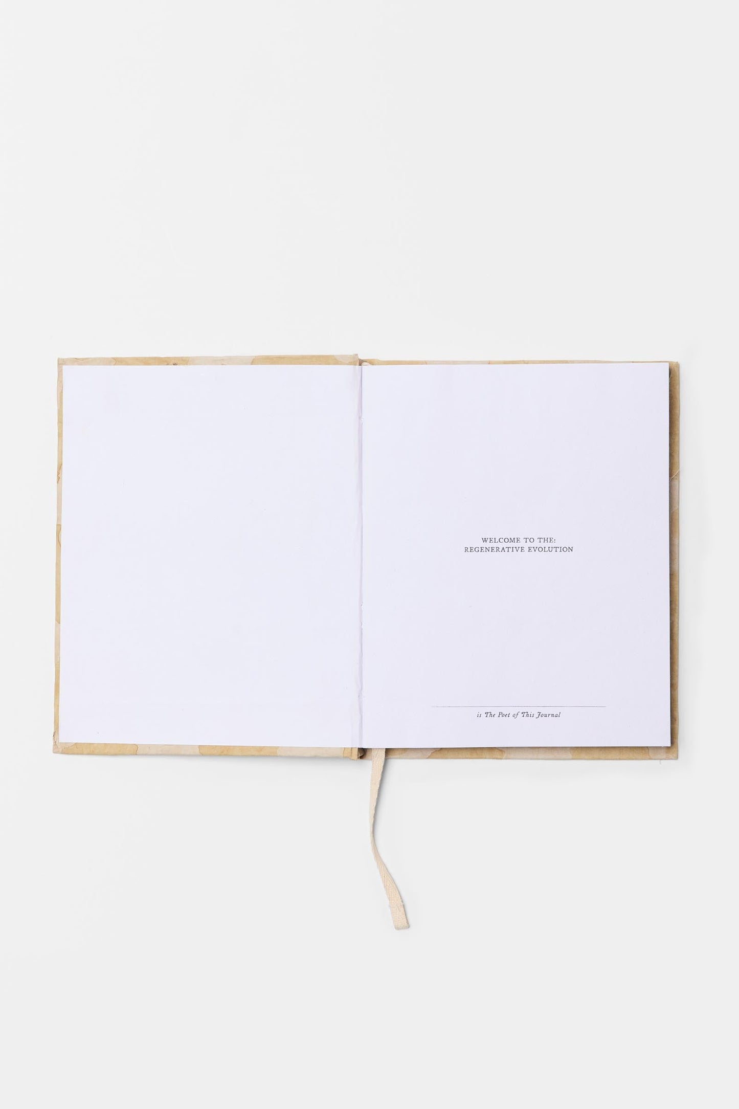 The Notebook | Sunshine Daisy