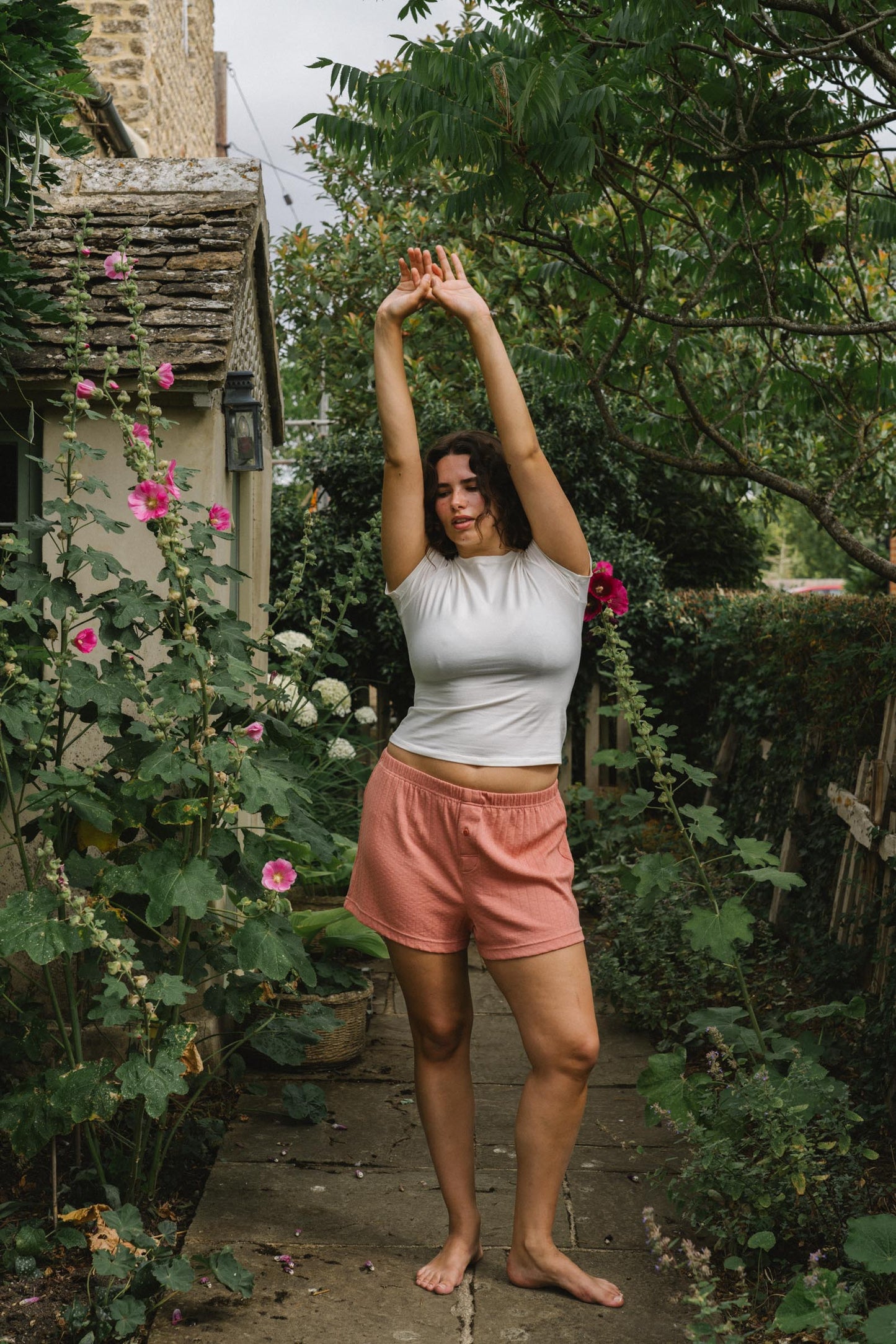 The Cristobal Boxers | Rose