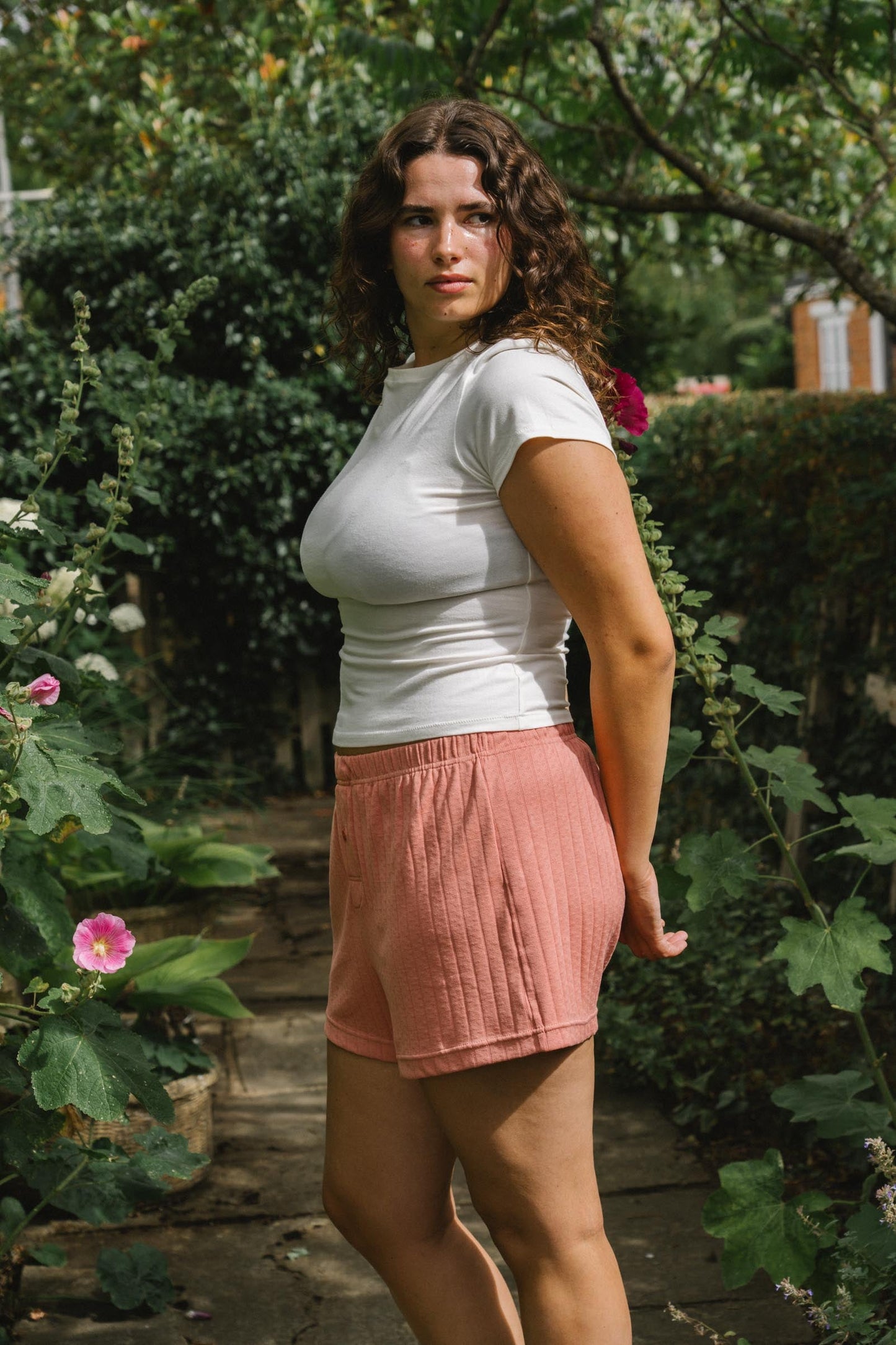 The Cristobal Boxers | Rose