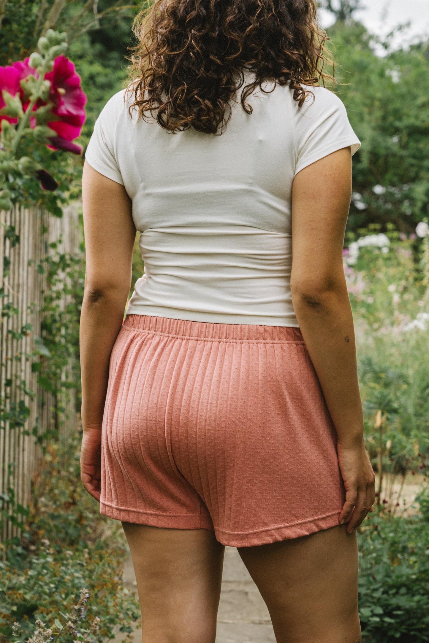 The Cristobal Boxers | Rose