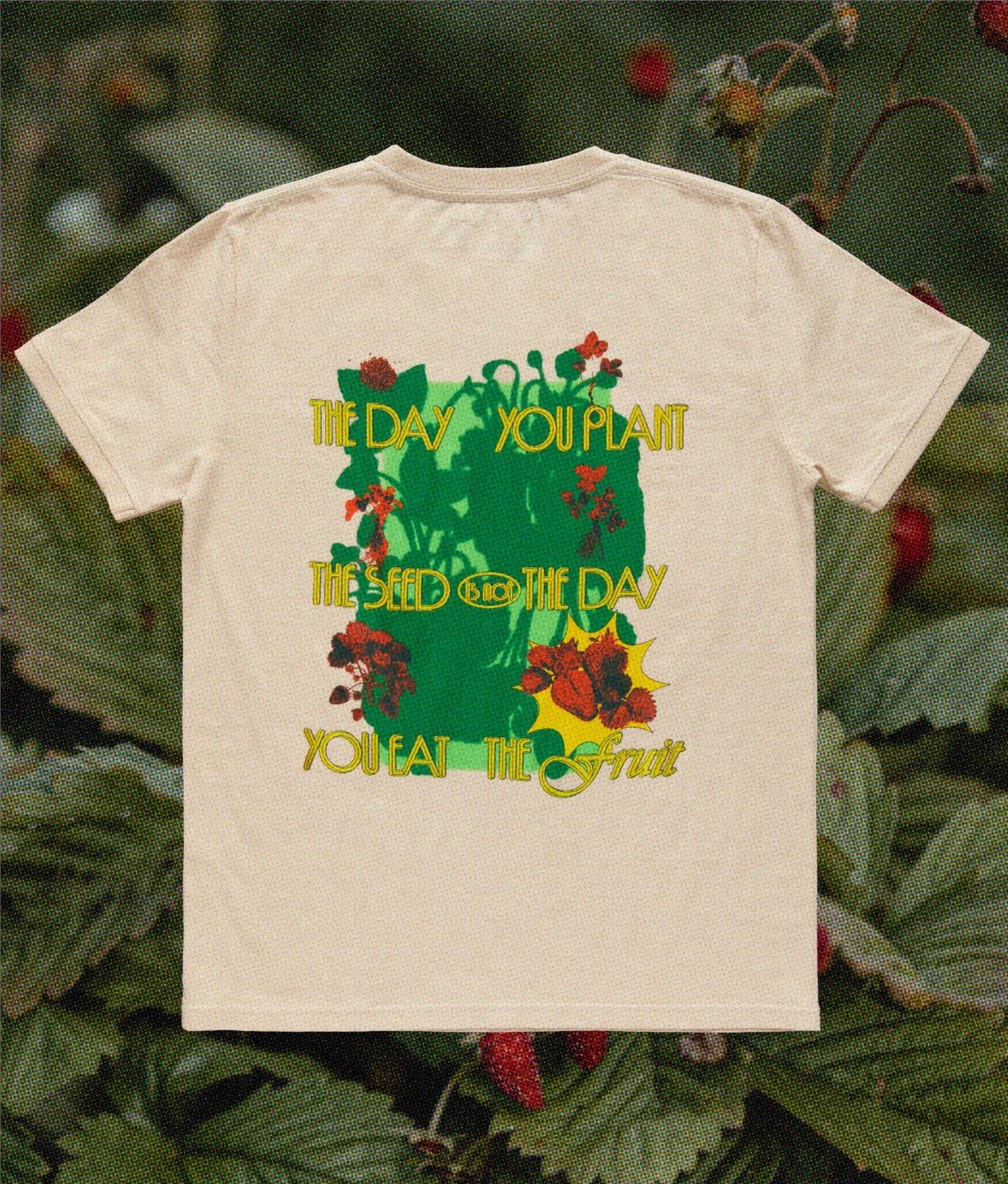 The Seed Short Sleeve Tee | Natural