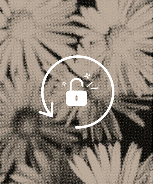 Pay now to unlock free returns