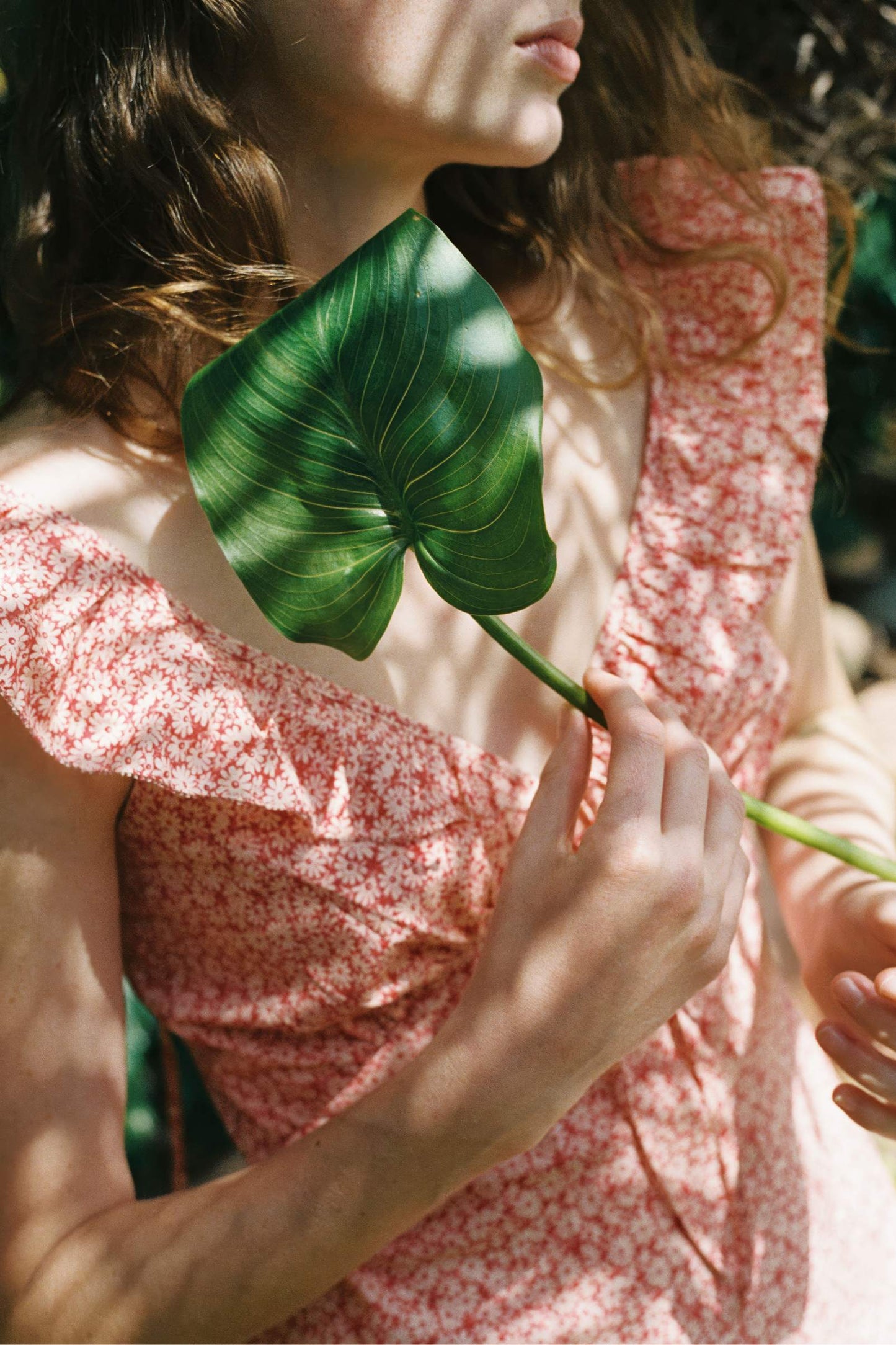 The Nova Dress | Rouge Phlox