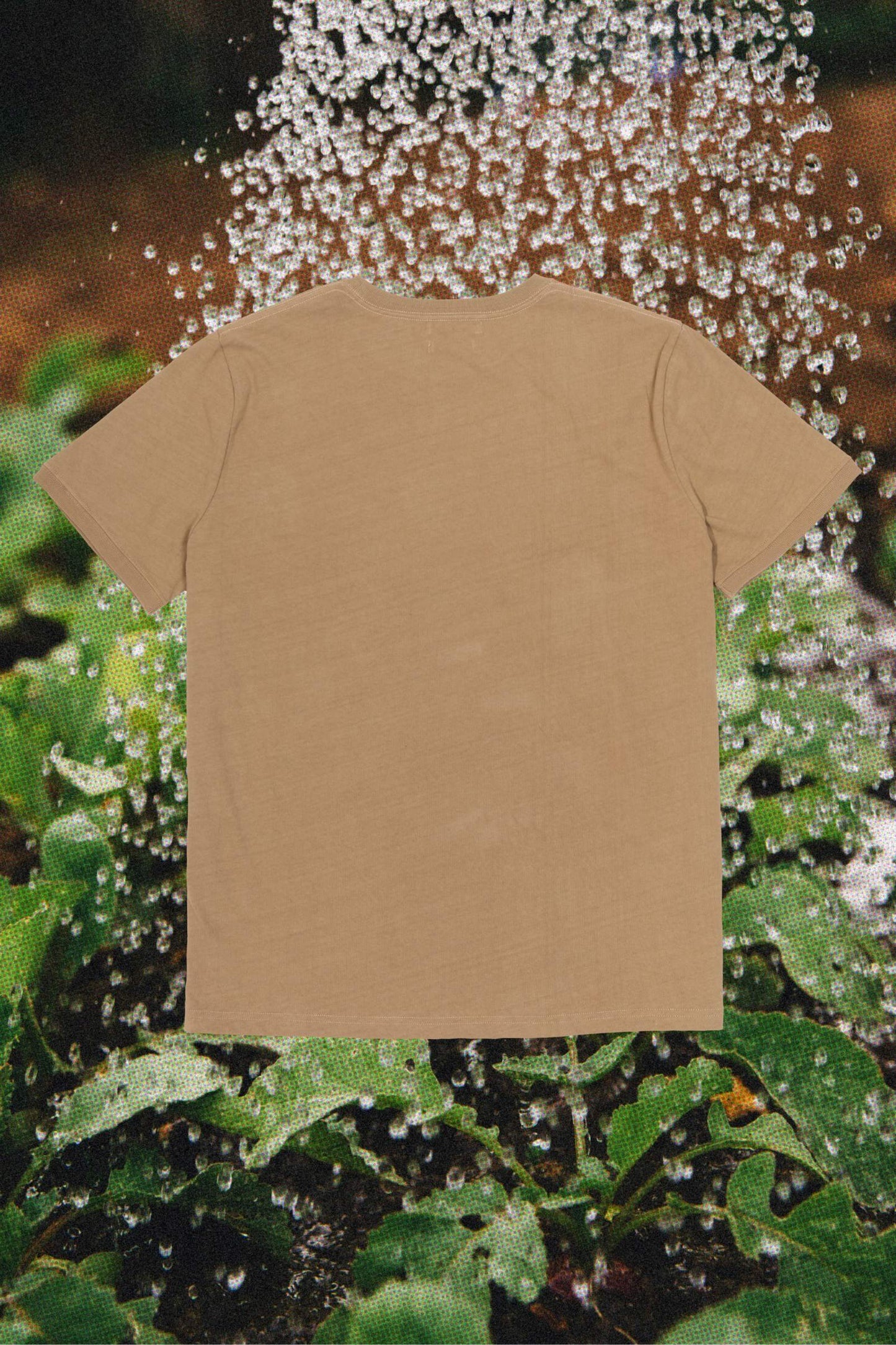 Regenerative Short Sleeve Tee | Clay
