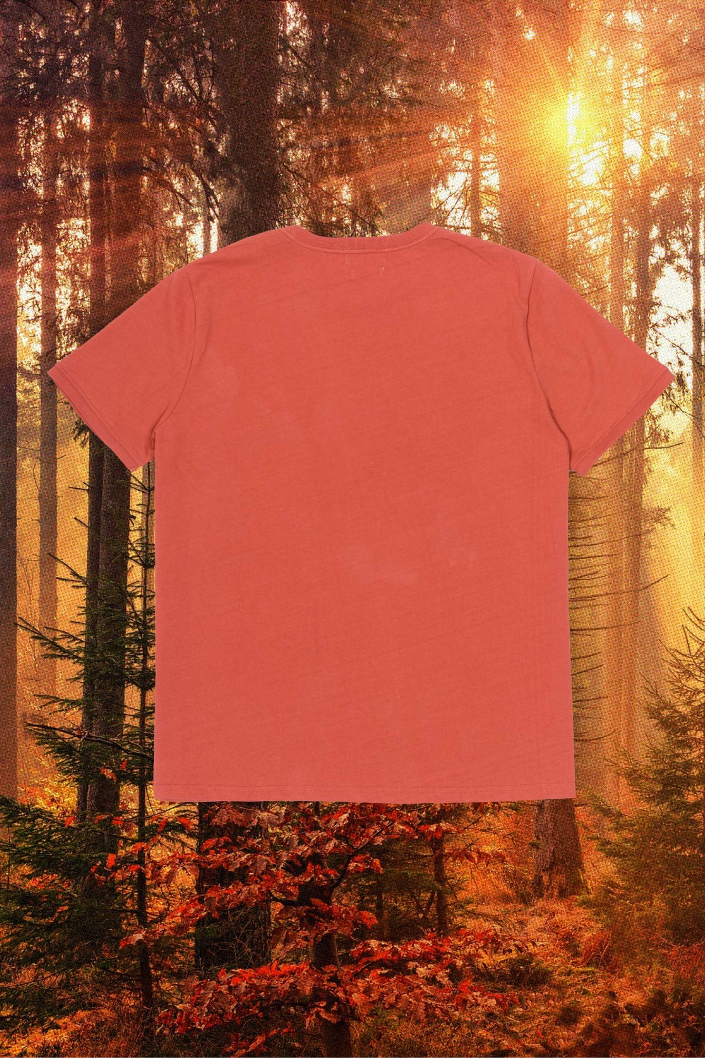 Regenerative Short Sleeve Tee | Rust